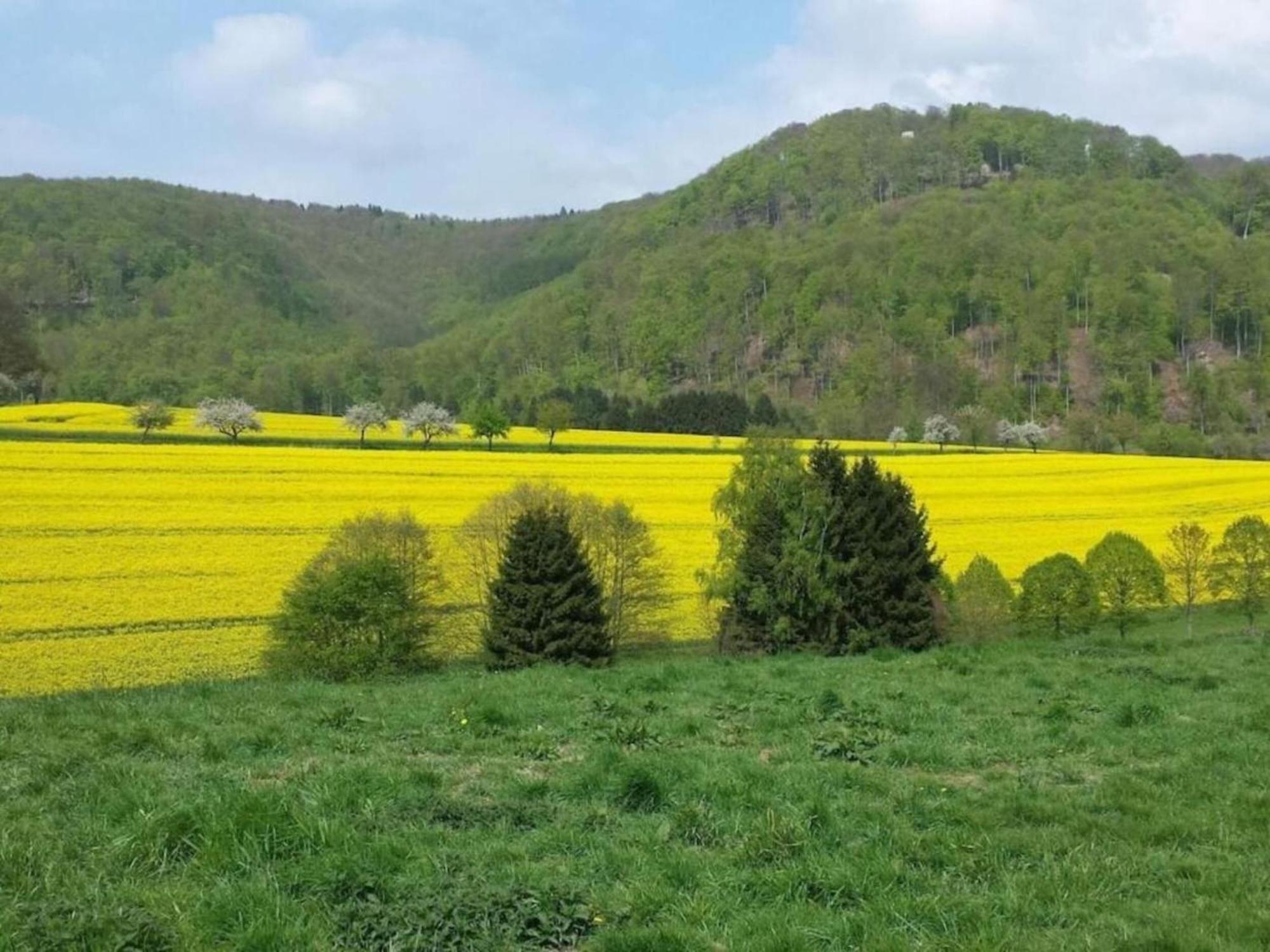 Spacious Apartment In Weser Uplands With Garden 바트피르몬트 외부 사진